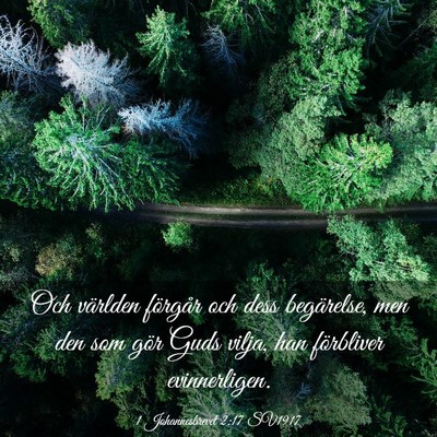Picture 03 - 1 Johannesbrevet 2:17 SV1917 - Och världen förgår och dess begärelse, men - Bible Verse Picture