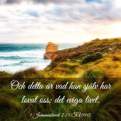 Picture 03 - 1 Johannesbrevet 2:25 SV1917 - Och detta är vad han själv har lovat oss: det - Bible Verse Picture