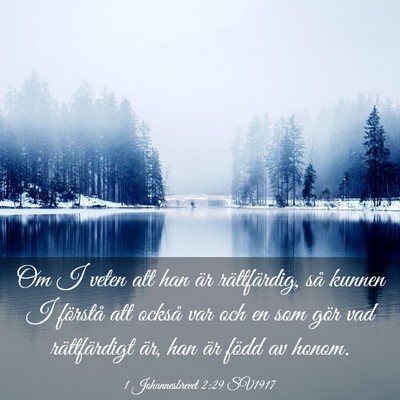 Picture 03 - 1 Johannesbrevet 2:29 SV1917 - Om I veten att han är rättfärdig, så kunnen I - Bible Verse Picture