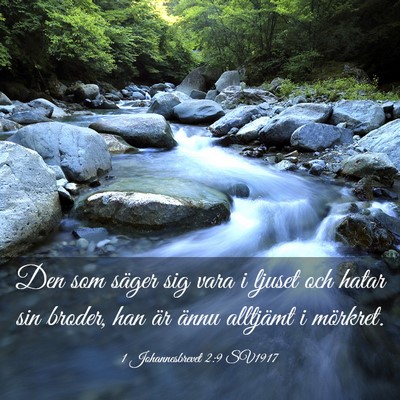 Picture 03 - 1 Johannesbrevet 2:9 SV1917 - Den som säger sig vara i ljuset och hatar sin - Bible Verse Picture
