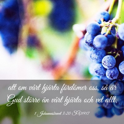 Picture 03 - 1 Johannesbrevet 3:20 SV1917 - att om vårt hjärta fördömer oss, så är Gud - Bible Verse Picture