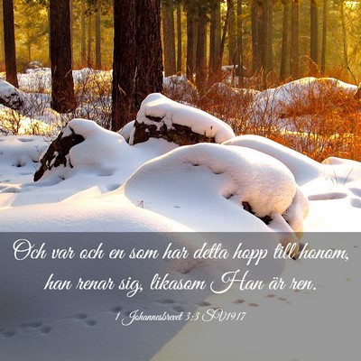 Picture 03 - 1 Johannesbrevet 3:3 SV1917 - Och var och en som har detta hopp till honom, han - Bible Verse Picture
