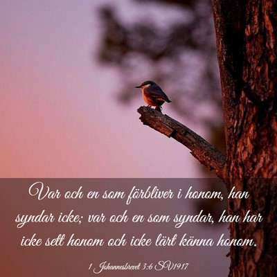 Picture 03 - 1 Johannesbrevet 3:6 SV1917 - Var och en som förbliver i honom, han syndar - Bible Verse Picture
