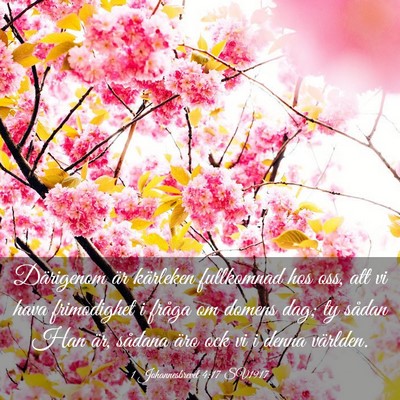 Picture 03 - 1 Johannesbrevet 4:17 SV1917 - Därigenom är kärleken fullkomnad hos oss, att - Bible Verse Picture