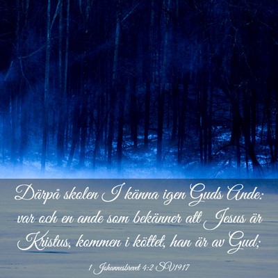 Picture 03 - 1 Johannesbrevet 4:2 SV1917 - Därpå skolen I känna igen Guds Ande: var och - Bible Verse Picture