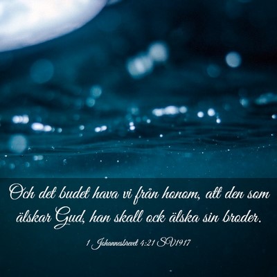 Picture 03 - 1 Johannesbrevet 4:21 SV1917 - Och det budet hava vi från honom, att den som - Bible Verse Picture