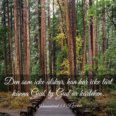 Picture 03 - 1 Johannesbrevet 4:8 SV1917 - Den som icke älskar, han har icke lärt känna - Bible Verse Picture