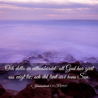 Picture 03 - 1 Johannesbrevet 5:11 SV1917 - Och detta är vittnesbördet: att Gud har givit - Bible Verse Picture