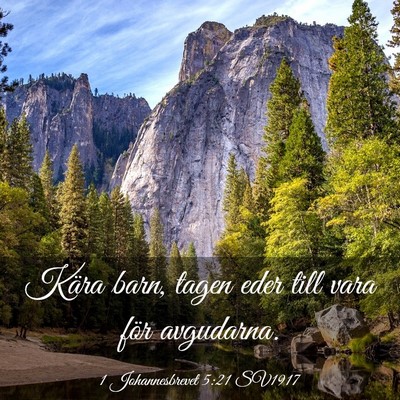 Picture 03 - 1 Johannesbrevet 5:21 SV1917 - Kära barn, tagen eder till vara för - Bible Verse Picture