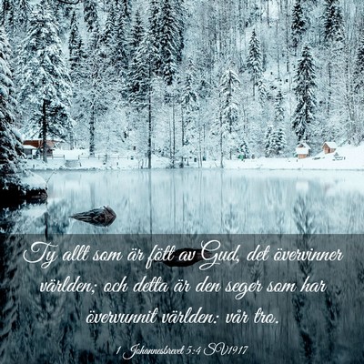 Picture 03 - 1 Johannesbrevet 5:4 SV1917 - Ty allt som är fött av Gud, det övervinner - Bible Verse Picture