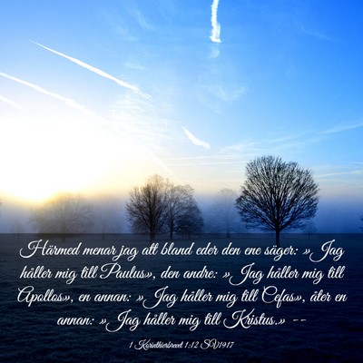 Picture 03 - 1 Korinthierbrevet 1:12 SV1917 - Härmed menar jag att bland eder den ene säger: - Bible Verse Picture