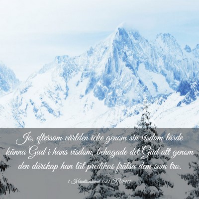 Picture 03 - 1 Korinthierbrevet 1:21 SV1917 - Jo, eftersom världen icke genom sin visdom - Bible Verse Picture