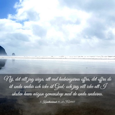 Picture 03 - 1 Korinthierbrevet 10:20 SV1917 - Nej, det vill jag säga, att vad hedningarna - Bible Verse Picture