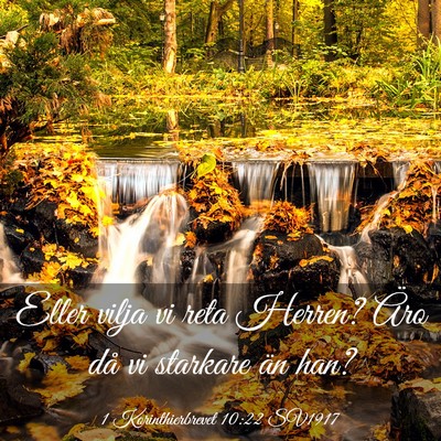 Picture 03 - 1 Korinthierbrevet 10:22 SV1917 - Eller vilja vi reta Herren? Äro då vi starkare - Bible Verse Picture