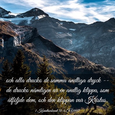 Picture 03 - 1 Korinthierbrevet 10:4 SV1917 - och alla drucko de samma andliga dryck -- de - Bible Verse Picture