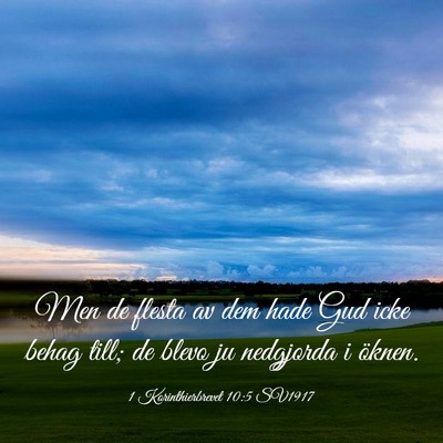 Picture 03 - 1 Korinthierbrevet 10:5 SV1917 - Men de flesta av dem hade Gud icke behag till; de - Bible Verse Picture