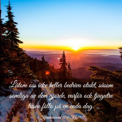 Picture 03 - 1 Korinthierbrevet 10:8 SV1917 - Låtom oss icke heller bedriva otukt, såsom - Bible Verse Picture