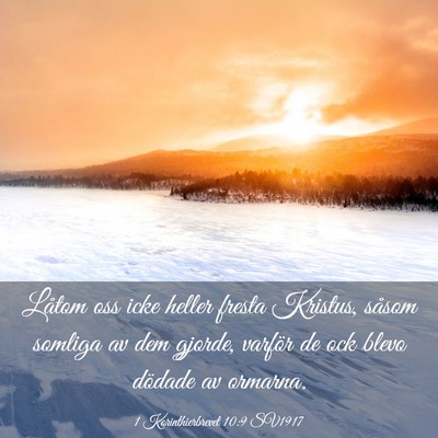 Picture 03 - 1 Korinthierbrevet 10:9 SV1917 - Låtom oss icke heller fresta Kristus, såsom - Bible Verse Picture