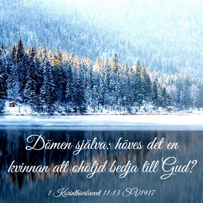 Picture 03 - 1 Korinthierbrevet 11:13 SV1917 - Dömen själva: höves det en kvinnan att ohöljd - Bible Verse Picture