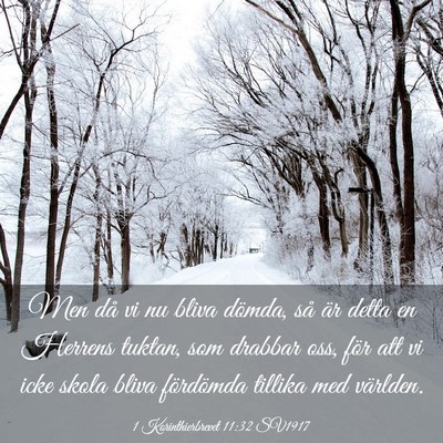 Picture 03 - 1 Korinthierbrevet 11:32 SV1917 - Men då vi nu bliva dömda, så är detta en - Bible Verse Picture