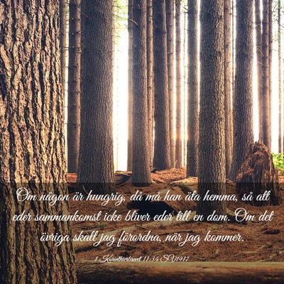 Picture 03 - 1 Korinthierbrevet 11:34 SV1917 - Om någon är hungrig, då må han äta hemma, - Bible Verse Picture