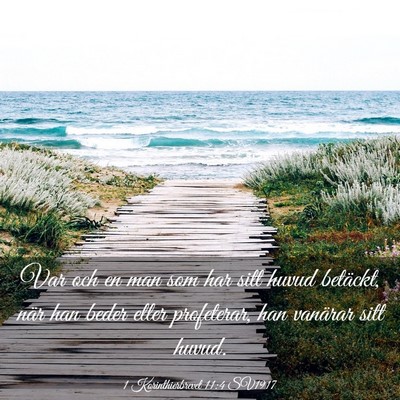 Picture 03 - 1 Korinthierbrevet 11:4 SV1917 - Var och en man som har sitt huvud betäckt, när - Bible Verse Picture