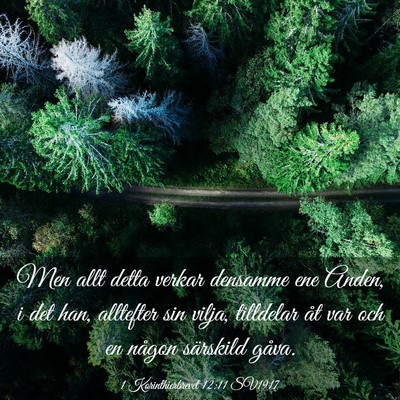 Picture 03 - 1 Korinthierbrevet 12:11 SV1917 - Men allt detta verkar densamme ene Anden, i det - Bible Verse Picture
