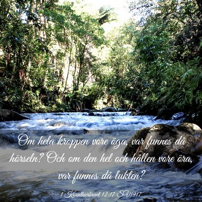 Picture 03 - 1 Korinthierbrevet 12:17 SV1917 - Om hela kroppen vore öga, var funnes då - Bible Verse Picture