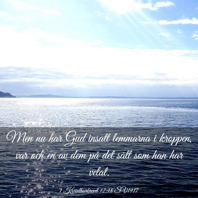 Picture 03 - 1 Korinthierbrevet 12:18 SV1917 - Men nu har Gud insatt lemmarna i kroppen, var och - Bible Verse Picture