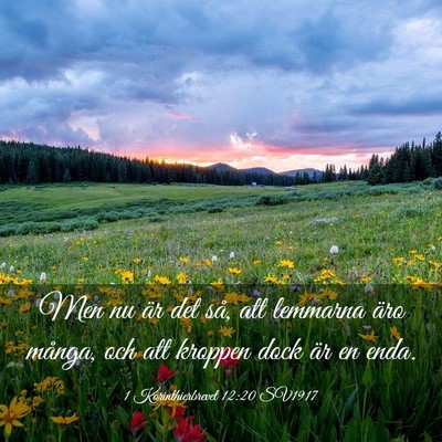 Picture 03 - 1 Korinthierbrevet 12:20 SV1917 - Men nu är det så, att lemmarna äro många, och - Bible Verse Picture
