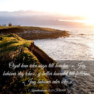 Picture 03 - 1 Korinthierbrevet 12:21 SV1917 - Ögat kan icke säga till handen: »Jag behöver - Bible Verse Picture