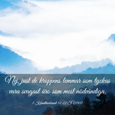 Picture 03 - 1 Korinthierbrevet 12:22 SV1917 - Nej, just de kroppens lemmar som tyckas vara - Bible Verse Picture