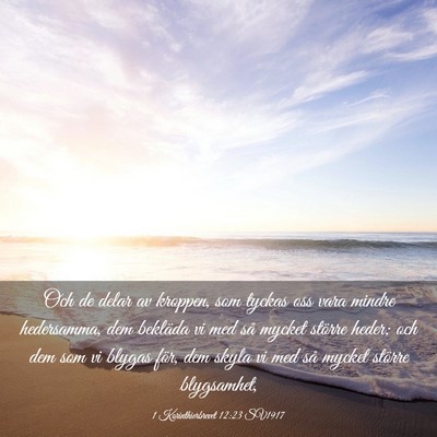 Picture 03 - 1 Korinthierbrevet 12:23 SV1917 - Och de delar av kroppen, som tyckas oss vara - Bible Verse Picture