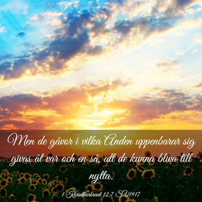 Picture 03 - 1 Korinthierbrevet 12:7 SV1917 - Men de gåvor i vilka Anden uppenbarar sig givas - Bible Verse Picture