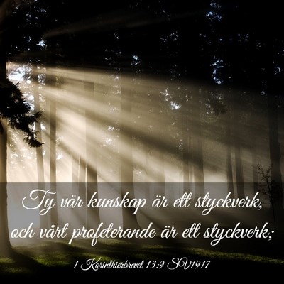 Picture 03 - 1 Korinthierbrevet 13:9 SV1917 - Ty vår kunskap är ett styckverk, och vårt - Bible Verse Picture