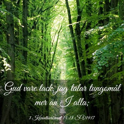 Picture 03 - 1 Korinthierbrevet 14:18 SV1917 - Gud vare tack, jag talar tungomål mer än I - Bible Verse Picture