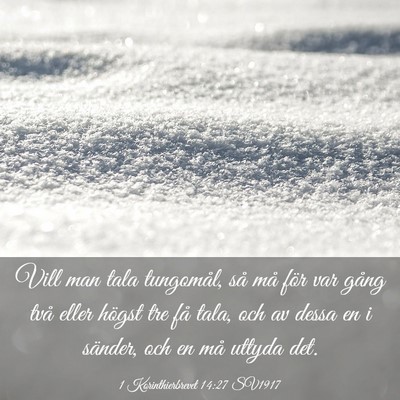 Picture 03 - 1 Korinthierbrevet 14:27 SV1917 - Vill man tala tungomål, så må för var gång - Bible Verse Picture
