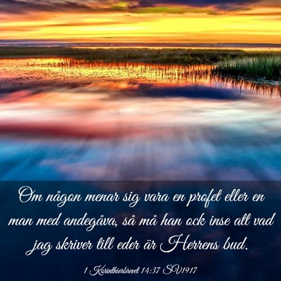 Picture 03 - 1 Korinthierbrevet 14:37 SV1917 - Om någon menar sig vara en profet eller en man - Bible Verse Picture