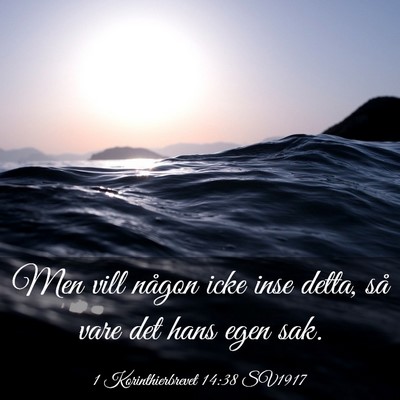 Picture 03 - 1 Korinthierbrevet 14:38 SV1917 - Men vill någon icke inse detta, så vare det - Bible Verse Picture