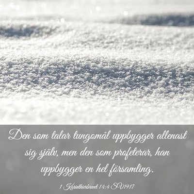 Picture 03 - 1 Korinthierbrevet 14:4 SV1917 - Den som talar tungomål uppbygger allenast sig - Bible Verse Picture