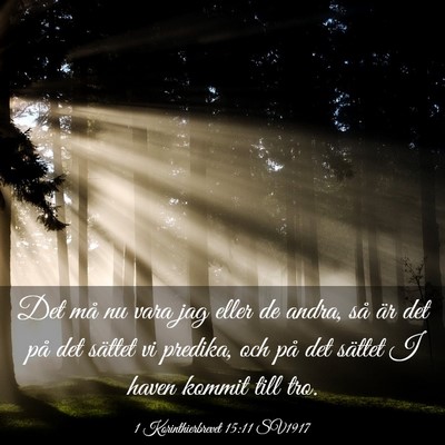Picture 03 - 1 Korinthierbrevet 15:11 SV1917 - Det må nu vara jag eller de andra, så är det - Bible Verse Picture