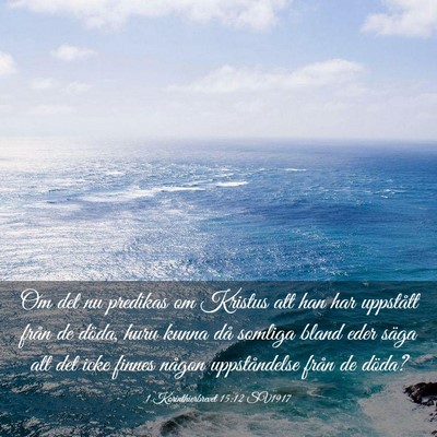 Picture 03 - 1 Korinthierbrevet 15:12 SV1917 - Om det nu predikas om Kristus att han har - Bible Verse Picture
