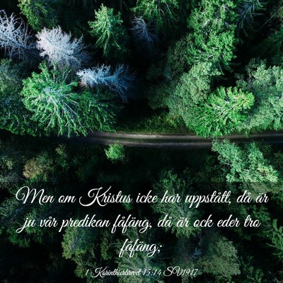 Picture 03 - 1 Korinthierbrevet 15:14 SV1917 - Men om Kristus icke har uppstått, då är ju - Bible Verse Picture
