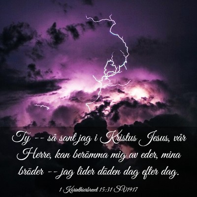 Picture 03 - 1 Korinthierbrevet 15:31 SV1917 - Ty -- så sant jag i Kristus Jesus, vår Herre, - Bible Verse Picture
