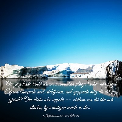 Picture 03 - 1 Korinthierbrevet 15:32 SV1917 - Om jag hade tänkt såsom människor pläga - Bible Verse Picture