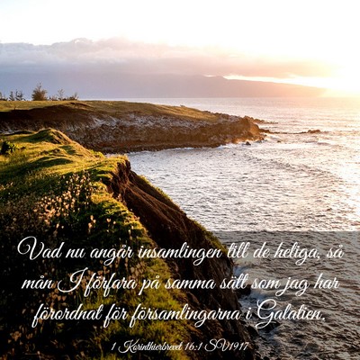 Picture 03 - 1 Korinthierbrevet 16:1 SV1917 - Vad nu angår insamlingen till de heliga, så - Bible Verse Picture