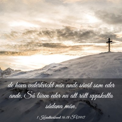 Picture 03 - 1 Korinthierbrevet 16:18 SV1917 - de hava vederkvickt min ande såväl som eder - Bible Verse Picture