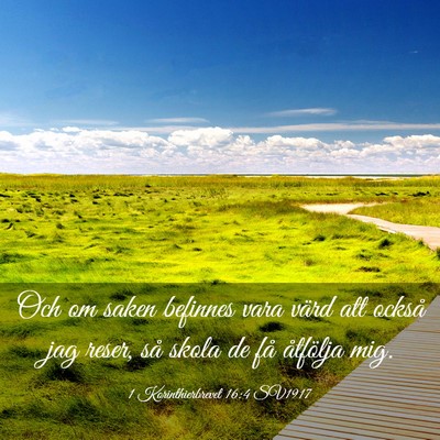 Picture 03 - 1 Korinthierbrevet 16:4 SV1917 - Och om saken befinnes vara värd att också jag - Bible Verse Picture