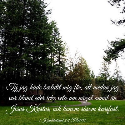Picture 03 - 1 Korinthierbrevet 2:2 SV1917 - Ty jag hade beslutit mig för, att medan jag var - Bible Verse Picture