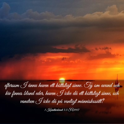Picture 03 - 1 Korinthierbrevet 3:3 SV1917 - eftersom I ännu haven ett köttsligt sinne. Ty - Bible Verse Picture